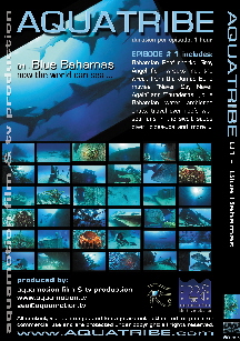 Aquatribe DVD 01 - BLUE BAHAMAS