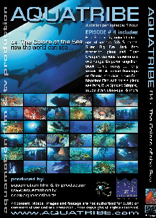 Aquatribe DVD  04 - THE COLORS OF THE SEA 